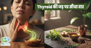 यह मिश्रण थायराइड ग्रंथि की धीमी पड़ी गतिविधि को स्वाभाविक रूप से तेज करने में मदद करता है और कुछ दिनों में परिणाम दिखाई देने लगते हैं।