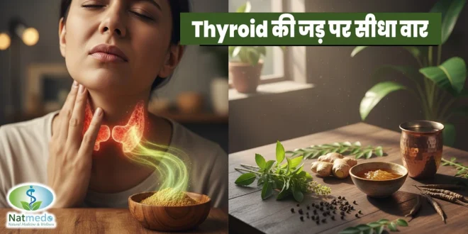 यह मिश्रण थायराइड ग्रंथि की धीमी पड़ी गतिविधि को स्वाभाविक रूप से तेज करने में मदद करता है और कुछ दिनों में परिणाम दिखाई देने लगते हैं।